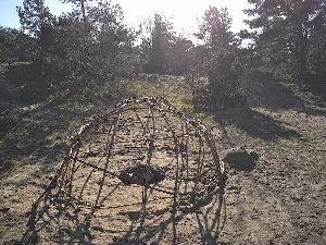 hutje in de duinen